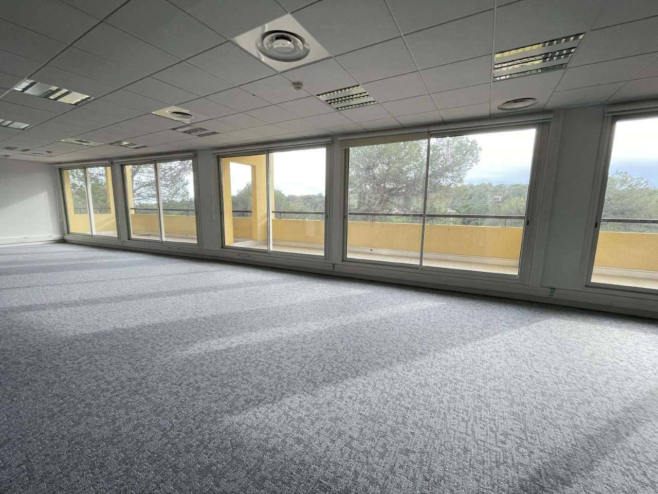 Bureau Sophia Antipolis 2865m² Location bureau Sophia Antipolis Alpes-Maritimes OLBUR2114891 9